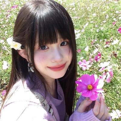 彩叶草之梦
